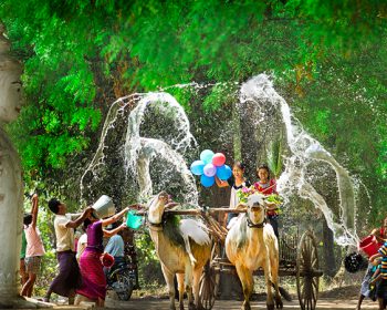 WATER FESTIVAL